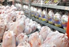 واردات الدجاج لإيران