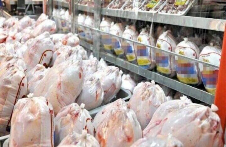 واردات الدجاج لإيران