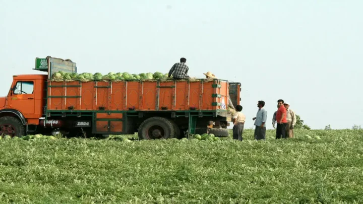 البطيخ الإيراني العراق