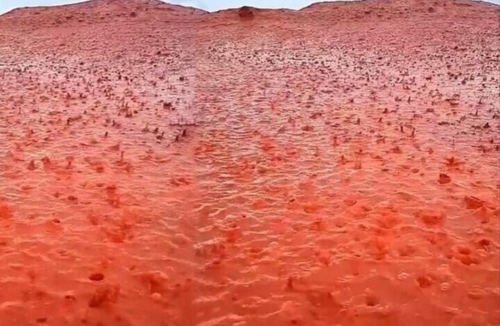 المطر الدموي جزيرة هرمز