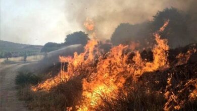 حرائق في هور العظيم