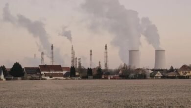 أوروبا وسوق الطاقة وإيران