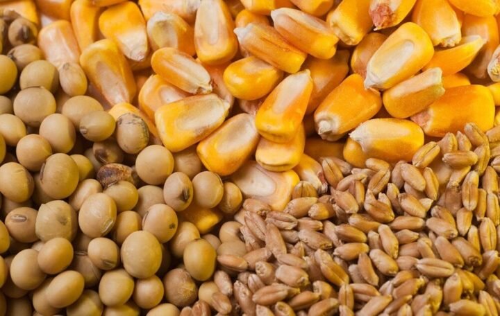 المخزونات الغذائية في إيران