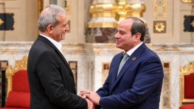 السيسي وبزشكيان بريكس