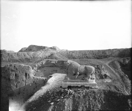 شیر بابل - تصویری از سال 1909 میلادی