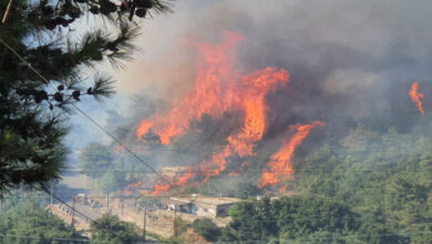 آتش سوزی در شمال لبنان