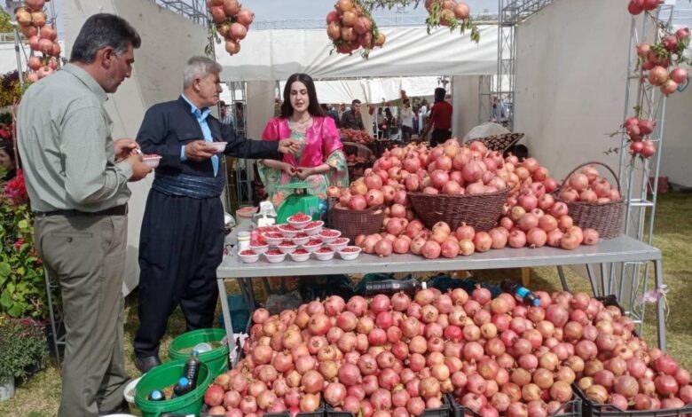 جشنواره انار در حلبچه