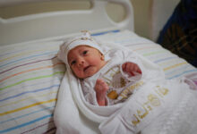 آمار ولادت در عراق