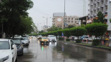 بارش باران در الانبار