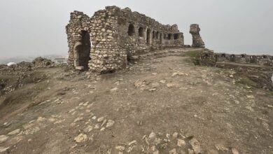 قلعه باشتابیا