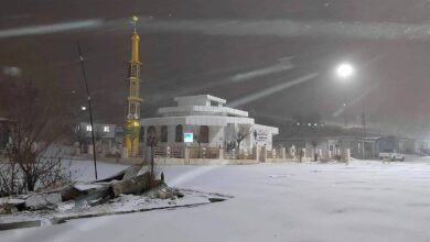 برف در شمال عراق