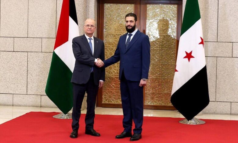 محمد مصطفی