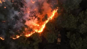 آتش سوزی‌ها در سوریه