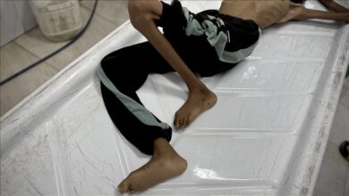 نوار غزه