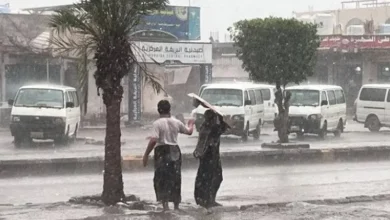 بارش باران در یمن