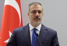 فیدان