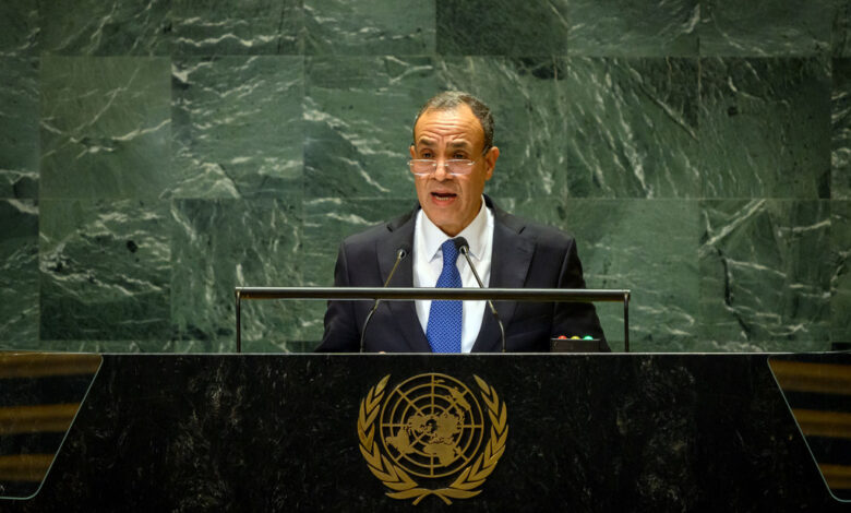 وزیر خارجه مصر