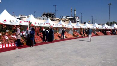 جشنواره انار و عسل