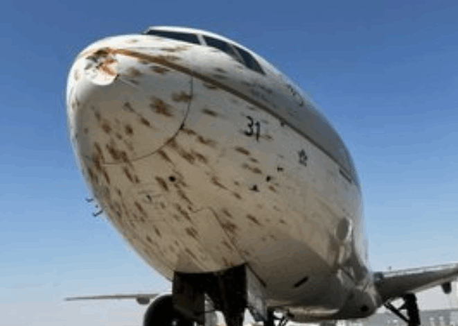 سانحه هواپیمای سعودی