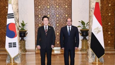 مصر و کره جنوبی