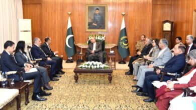 پاکستان مصر