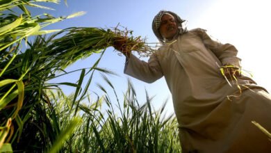 دیده‌بان اکو عراق