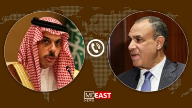 مصر و عربستان