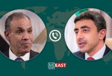 عبدالعاطی و آل نهیان