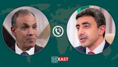 عبدالعاطی و آل نهیان