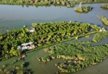 سیل در سوریه