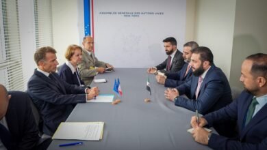 سوریه و فرانسه